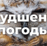 Внимание, штормовой ветер! - Город Уфа