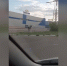 Жители башкирского Ишимбая сняли на видео бегущего по городу лося | ГТРК «Башкортостан» - ГТРК Башкортостан