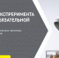 В Башкирии продолжается эксперимент по маркировке безалкогольных напитков - Башинформ