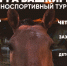 Верхом к победе - Город Уфа