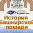 Национальный музей Башкортостана представит выставку на фестивале «Башҡорт аты» - Башинформ