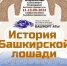 Экспозиция «История башкирской лошади» будет выставлена на Международном фестивале «Башҡорт аты» - Культурный мир Башкортостана