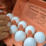 eggs - News102.Ru