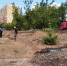 В Уфе появится новая зона отдыха - Город Уфа