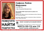 группа «ДПСО „БаРС“ (БашРегионСпас)», Vk