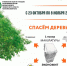 Уфимцы могут сдать макулатуру и спасти дерево - Культурный мир Башкортостана
