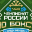 В ноябре в Уфе пройдет чемпионат России по боксу среди женщин - Башинформ