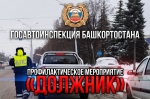 dolzhnik.jpg