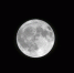 luna - News102.Ru