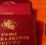 автор - Башинформ
