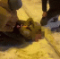 Фото и видео УФСБ России по РБ. - Сетевое издание Республика Башкортостан