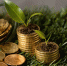 high-angle-of-two-stacks-of-coins-on-grass-with-jar-and-plants - News102.Ru