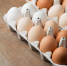 close-up-fresh-chicken-eggs - News102.Ru