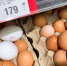 eggs - News102.Ru