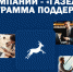 Программа поддержки «Газелей» - Город Уфа