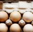 eggs_close - News102.Ru