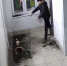 В Уфе мужчина, поссорившись с женой, устроил цветочный погром в подъезде - Newsbash.Ru