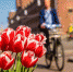 33224_pogoda - News102.Ru