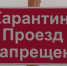 В башкирском селе Кушнаренково ввели карантин по бешенству животных | ГТРК «Башкортостан» - ГТРК Башкортостан