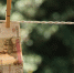 money_rub - News102.Ru