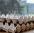 egg_containers - News102.Ru