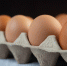 20761egg - News102.Ru