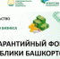 В Башкирии Гарантийный фонд запустил для предпринимателей новые виды поддержки - Сетевое издание Республика Башкортостан