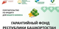 В Башкирии Гарантийный фонд запустил для предпринимателей новые виды поддержки - Сетевое издание Республика Башкортостан
