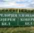 В Башкирии три сестры установили баннер на воротах кладбища - Сетевое издание Республика Башкортостан