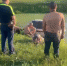 ДТП в чистом поле и погоня за трактористом: полицейские снова поймали пьяных водителей в Башкирии | ГТРК «Башкортостан» - ГТРК Башкортостан