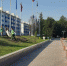 В Уфе перед зданием горсовета ночью срубили все ели - Сетевое издание Республика Башкортостан