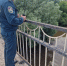 МЧС по РБ - Башинформ