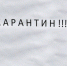 Эпидемиологи к карантину готовы — Роспотребнадзор по Башкирии - Башинформ