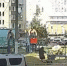 стоп-кадр видео телеграм-канала БашДТП - Башинформ