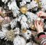 2147724598_news_year - News102.Ru