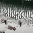 Целое семейство уток поселилось на озере в парке «Волна» в Уфе | ГТРК «Башкортостан» - ГТРК Башкортостан
