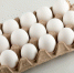 chicken_eggs - News102.Ru