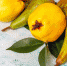 8037_aiva - News102.Ru
