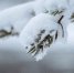 123019_winter - News102.Ru