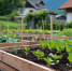 2151479080_dacha - News102.Ru