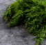 6839_ukrop - News102.Ru