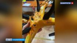 В Башкирии в колледже загорелся беспилотник: эвакуировали 600 человек | ГТРК «Башкортостан»