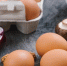 2148062419_egg - News102.Ru