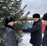 Чертову дюжину елей высадили уфимские чиновники - Mkset.Ru