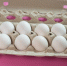 1950_eggs - News102.Ru