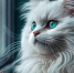 кот кошка - News102.Ru