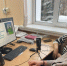 Состоялась Всероссийская научно-практическая конференция с международным участием «Грибановские чтения – 2024» - Национальная библиотека им. Ахмет-Заки Валиди