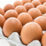 5522_egg - News102.Ru