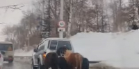 В Стерлитамаке проверят водителя, который привязал лошадей к машине - Сетевое издание Республика Башкортостан
