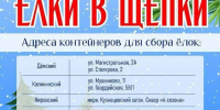 В Уфе пройдет ежегодная экологическая акция «Ёлки в щепки» - Башинформ